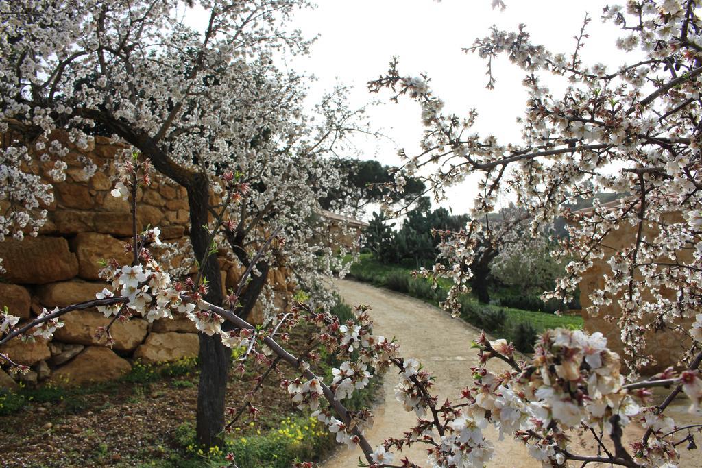 Agriturismo Feudo Muxarello Vila Aragona Exterior foto