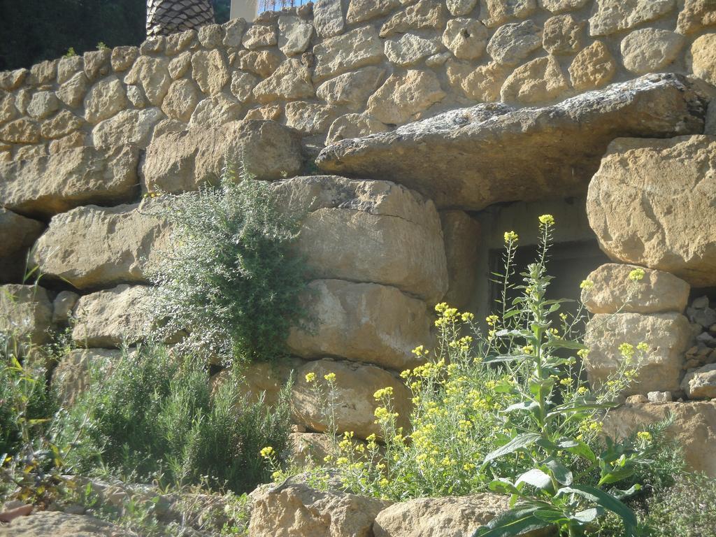 Agriturismo Feudo Muxarello Vila Aragona Exterior foto